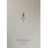 Portugal Farman Book - English